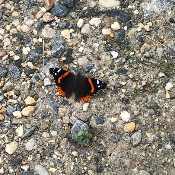 Meet your Posher, Jessica - Picture 1 of 1